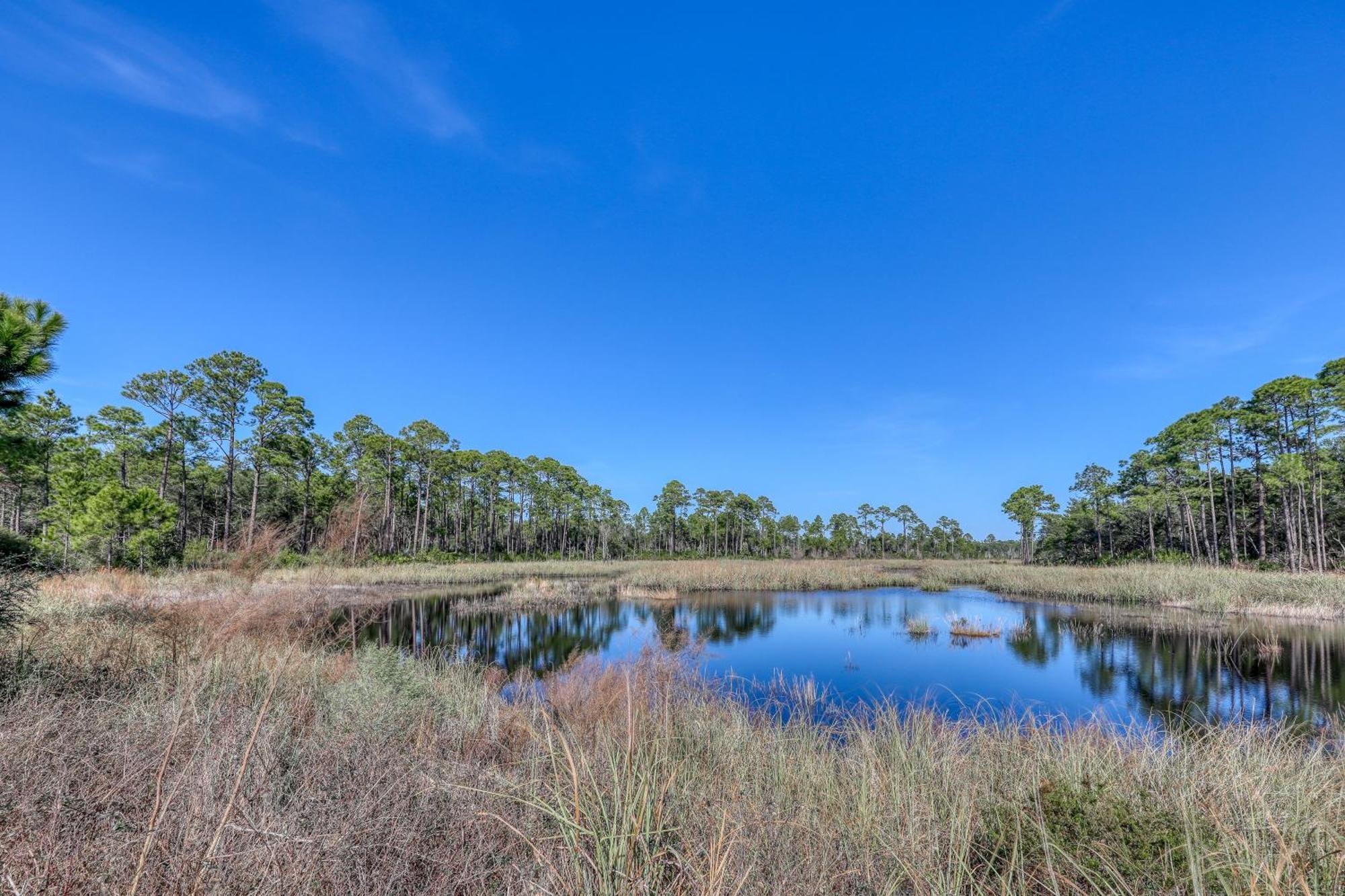 Village Of South Walton B247 Inlet Beach Екстериор снимка